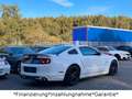 Ford Mustang 5.0 GT V8*Shelby*Schalter*LED*Leder* Weiß - thumbnail 13