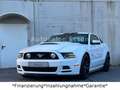 Ford Mustang 5.0 GT V8*Shelby*Schalter*LED*Leder* Weiß - thumbnail 4