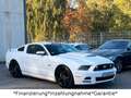 Ford Mustang 5.0 GT V8*Shelby*Schalter*LED*Leder* Weiß - thumbnail 14