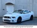 Ford Mustang 5.0 GT V8*Shelby*Schalter*LED*Leder* Weiß - thumbnail 5