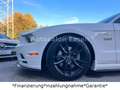 Ford Mustang 5.0 GT V8*Shelby*Schalter*LED*Leder* Weiß - thumbnail 21