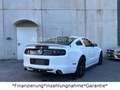 Ford Mustang 5.0 GT V8*Shelby*Schalter*LED*Leder* Weiß - thumbnail 18