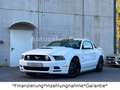 Ford Mustang 5.0 GT V8*Shelby*Schalter*LED*Leder* Weiß - thumbnail 1