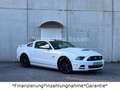 Ford Mustang 5.0 GT V8*Shelby*Schalter*LED*Leder* Weiß - thumbnail 7