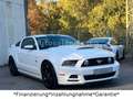 Ford Mustang 5.0 GT V8*Shelby*Schalter*LED*Leder* Weiß - thumbnail 10