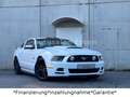 Ford Mustang 5.0 GT V8*Shelby*Schalter*LED*Leder* Weiß - thumbnail 2