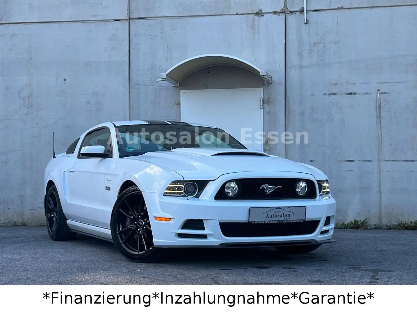 Ford Mustang 5.0 GT V8*Shelby*Schalter*LED*Leder* Weiß - 2