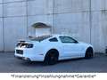 Ford Mustang 5.0 GT V8*Shelby*Schalter*LED*Leder* Weiß - thumbnail 17