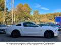 Ford Mustang 5.0 GT V8*Shelby*Schalter*LED*Leder* Weiß - thumbnail 12