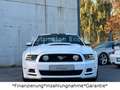 Ford Mustang 5.0 GT V8*Shelby*Schalter*LED*Leder* Weiß - thumbnail 3