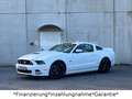Ford Mustang 5.0 GT V8*Shelby*Schalter*LED*Leder* Weiß - thumbnail 9