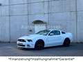 Ford Mustang 5.0 GT V8*Shelby*Schalter*LED*Leder* Weiß - thumbnail 6