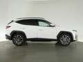 Hyundai TUCSON FACELIFT PRIME T-GDI 48V DCT+MATRIX LED+NAVI+360 G Weiß - thumbnail 28