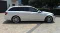 Mercedes-Benz C 250 W204 - CDI S.W. BlueEFFICIENCY AMG Bianco - thumbnail 4