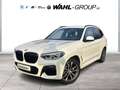 BMW X3 xDrive20d M SPORT LC PROF AHK HUD ALARM HIFI DAB W Bianco - thumbnail 1