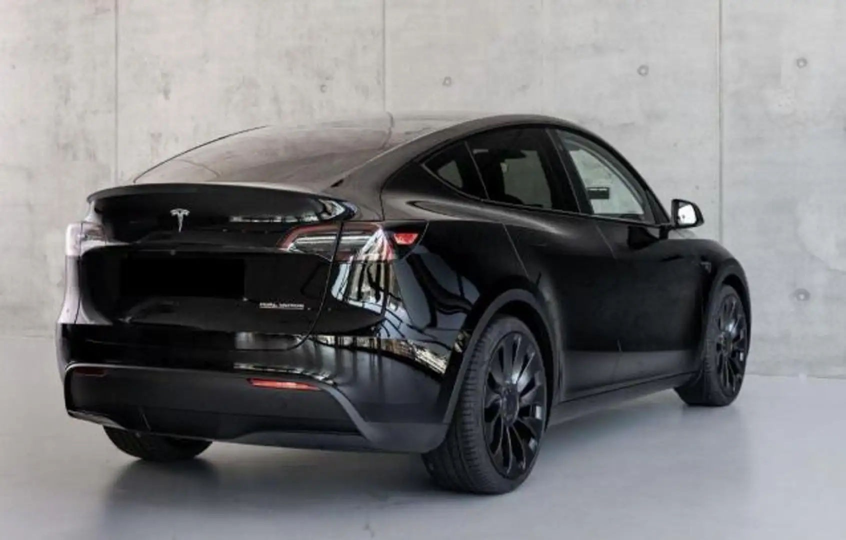 Tesla Model Y Performance Dual Motor awd - 2