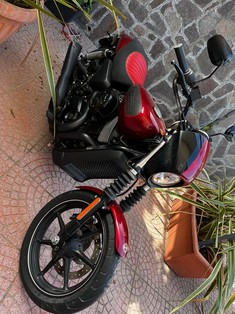 Harley-Davidson Street 750 Rojo - 2