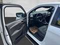 Isuzu D-Max D-MAX Double Cab 4x4 LSE Aut. ''Pritsche ohne NOV Weiß - thumbnail 28