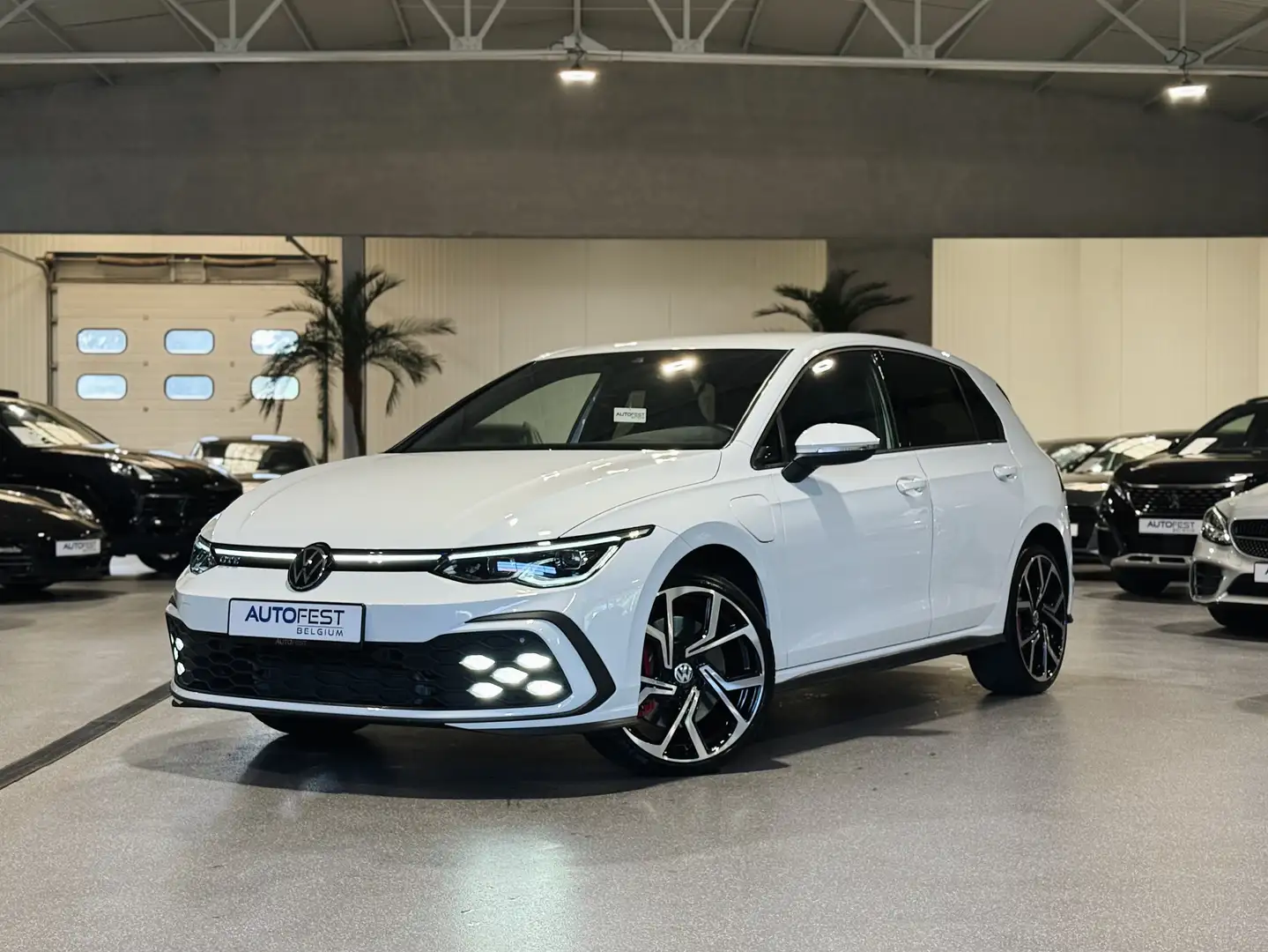 Volkswagen Golf GTE VIII GTE Plug-in hybride - 12 Mnd Garantie Wit - 1