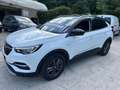 Opel Grandland X 1.5 diesel Ecotec S&S Business Bianco - thumbnail 1