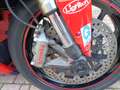 Ducati 848 EVO Rojo - thumbnail 14