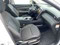 Hyundai TUCSON Plug-In Hybrid TREND LED Navi Ass.P  elHK Weiß - thumbnail 17