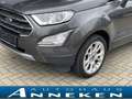 Ford EcoSport Titanium*SYNC3*Sitzhzg*PDC*LED* Grau - thumbnail 2