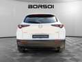 Mazda CX-30 2.0L Skyactiv-X M Hybrid 2WD Executive Bianco - thumbnail 4