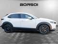 Mazda CX-30 2.0L Skyactiv-X M Hybrid 2WD Executive Bianco - thumbnail 6