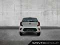 Kia Picanto Picanto 4 Türer KLIMA Alb - thumbnail 5