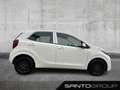 Kia Picanto Picanto 4 Türer KLIMA Alb - thumbnail 3