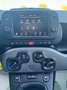 Fiat Panda Panda 1.0 firefly hybrid Sport s Nero - thumbnail 10