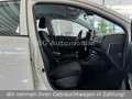 Kia Picanto Vision*R-Kamra*1.Hand*Navi*Digital* Bianco - thumbnail 15