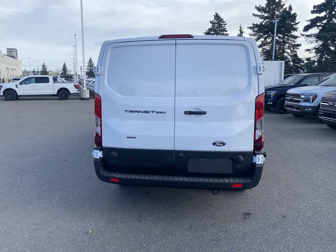 Ford Transit Cargo Van fotografie Ford Transit Cargo Van