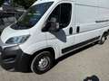 Fiat Ducato 35 115 L3H2 1.Hd Hu/Insp Neu Weiß - thumbnail 11