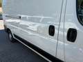 Fiat Ducato 35 115 L3H2 1.Hd Hu/Insp Neu Weiß - thumbnail 13