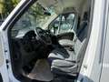 Fiat Ducato 35 115 L3H2 1.Hd Hu/Insp Neu Weiß - thumbnail 5