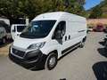 Fiat Ducato 35 115 L3H2 1.Hd Hu/Insp Neu Weiß - thumbnail 1