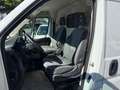 Fiat Ducato 35 115 L3H2 1.Hd Hu/Insp Neu Weiß - thumbnail 15