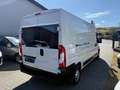 Fiat Ducato 35 115 L3H2 1.Hd Hu/Insp Neu Weiß - thumbnail 4
