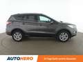 Ford Kuga 1.5 EcoBoost Business Edition*NAVI*PDC*AHK*KLIMA* Grau - thumbnail 7