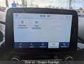 Ford Puma 1.0 EcoBoost 125 CV S&S ST-Line Bianco - thumbnail 26