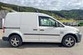 Volkswagen Caddy Caddy Kombi  2,0 TDI  4MOTION Weiß - thumbnail 3