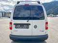 Volkswagen Caddy Caddy Kombi  2,0 TDI  4MOTION Weiß - thumbnail 11