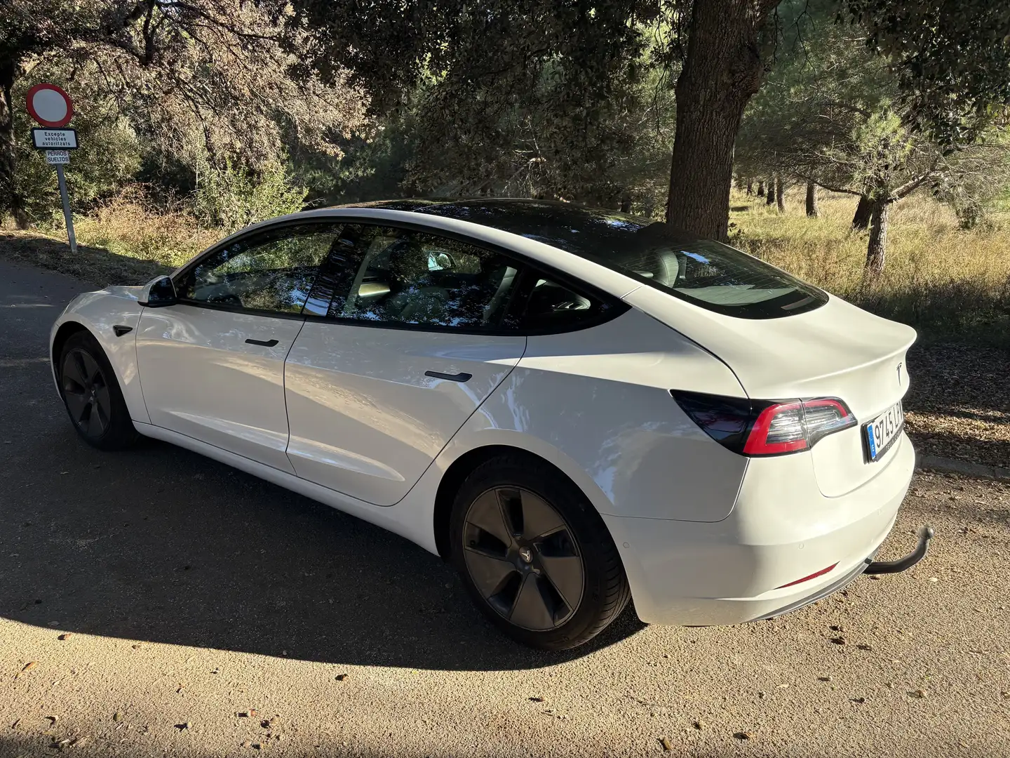 Tesla Model 3 Long-Range AWD - 2