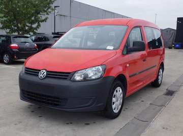 Maxi (Stock ID 44570)