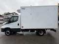 Iveco Daily 35C14 Frigo FRCX -20°C ATP 07 2027 380V kg 760 Bianco - thumbnail 3