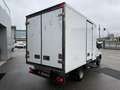Iveco Daily 35C14 Frigo FRCX -20°C ATP 07 2027 380V kg 760 Bianco - thumbnail 5