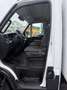 Iveco Daily 35C14 Frigo FRCX -20°C ATP 07 2027 380V kg 760 Bianco - thumbnail 9