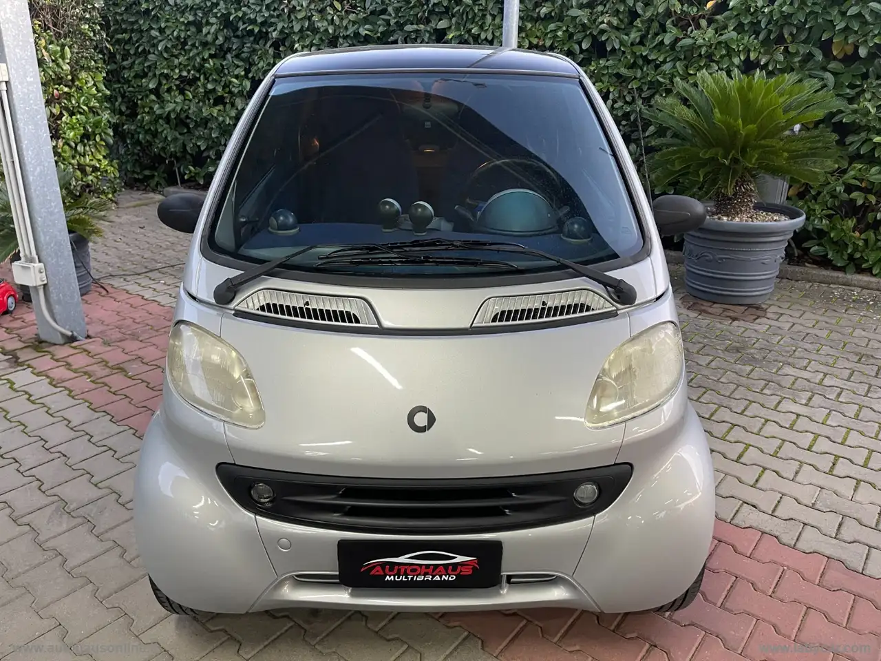 smart & passion, foto 2